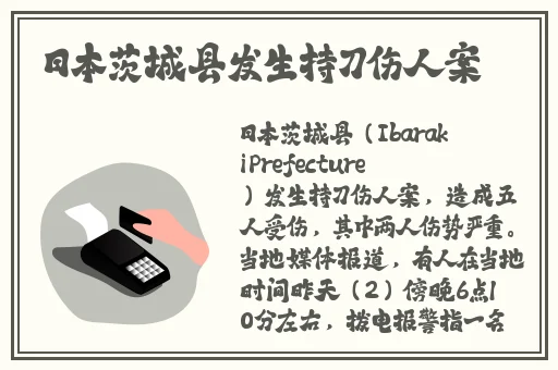 寒假作业张婉莹1080p